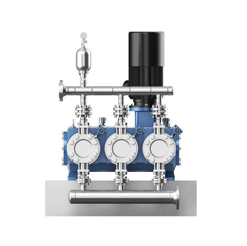 Vertical process diaphragm pumps