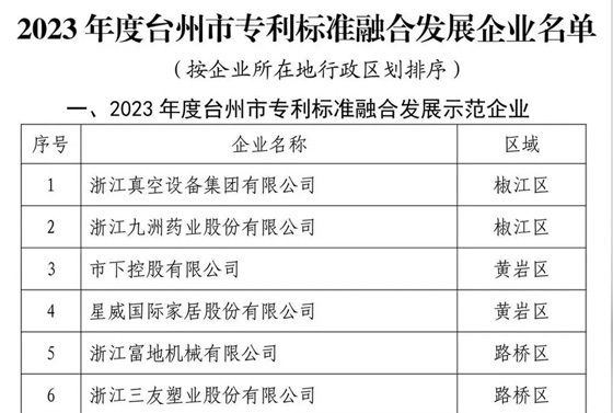 喜訊！愛(ài)力浦榮獲“2023 年度臺(tái)州市專(zhuān)利標(biāo)準(zhǔn)融合發(fā)展示范企業(yè)”
