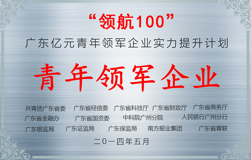 广东省领航100企业