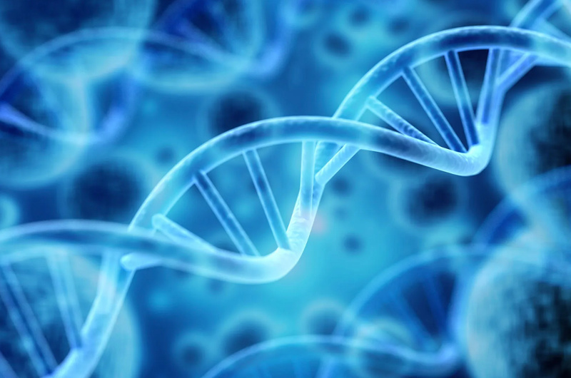 Composition and structure of mRNA CDMO