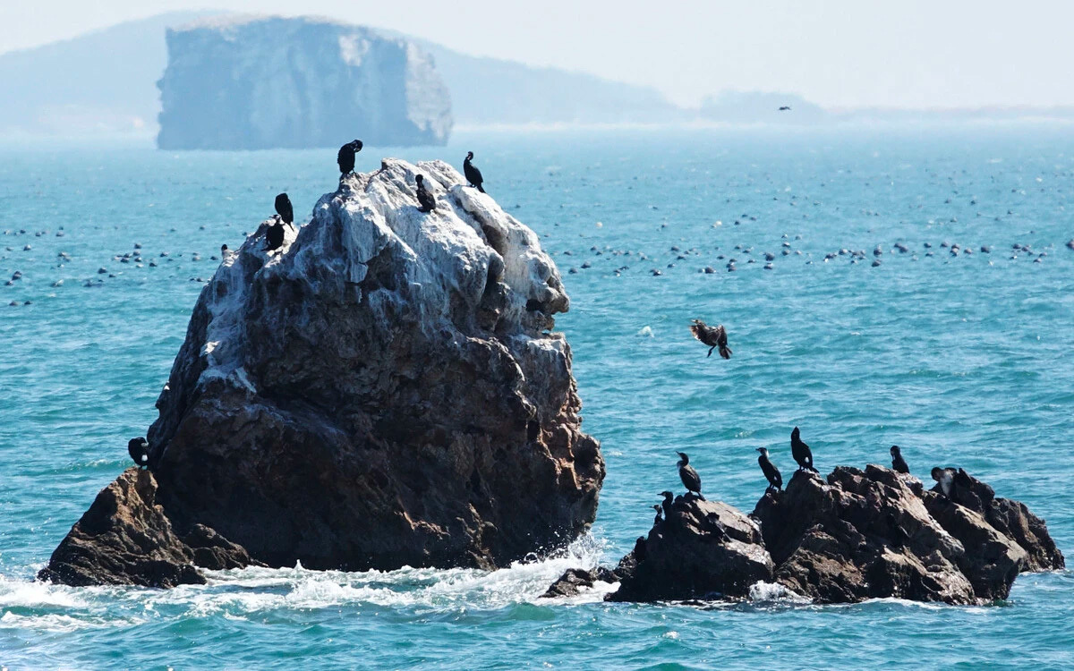 広鹿島