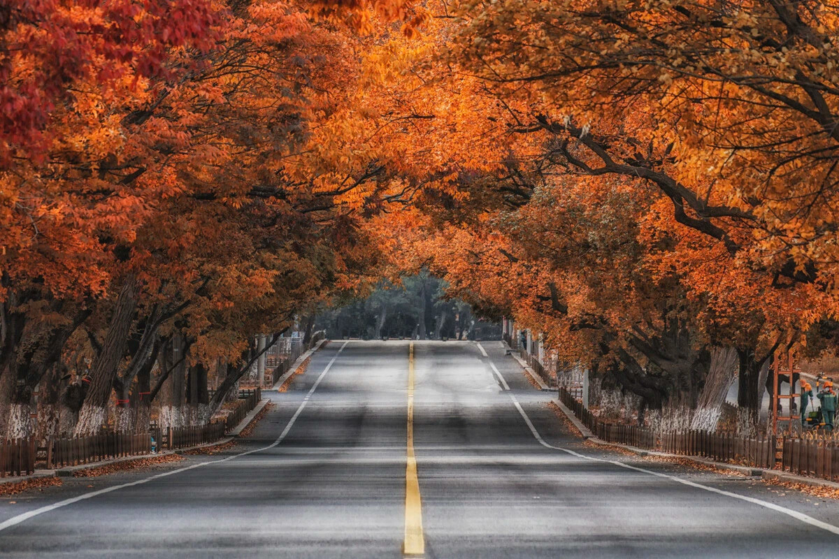 旅順太陽溝