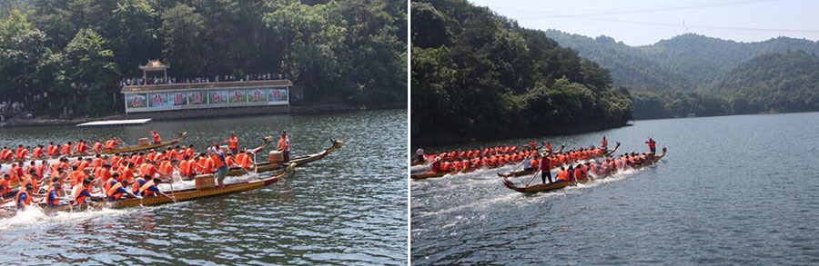 湖南飛山奇建筑科技有限公司