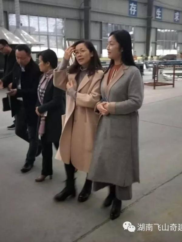 湖南飛山奇建筑科技有限公司