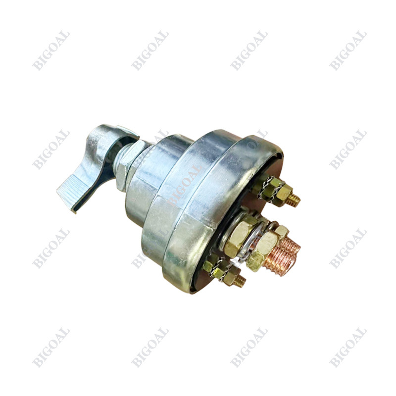 Battery disconnect switch