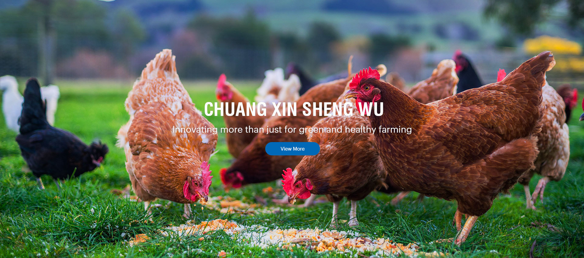 Henan Chuangxin Biotechnology Co., Ltd.