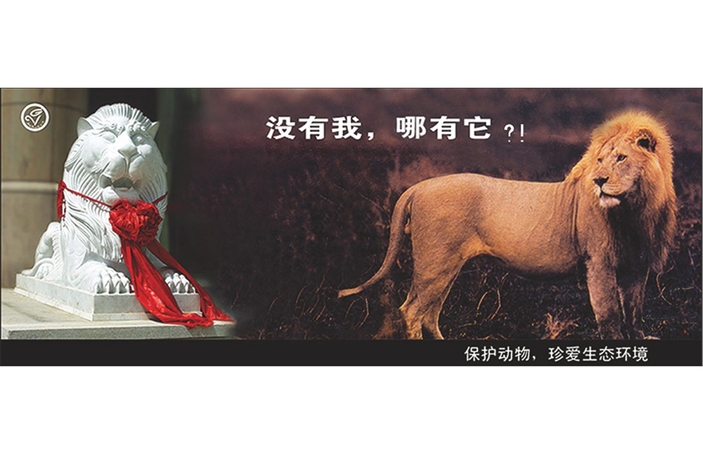 《沒有我哪有它》
