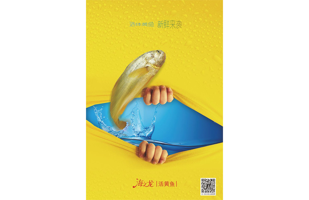 《活黃魚》獲浙江省第十九屆廣告創(chuàng)意大賽商業(yè)類銅獎