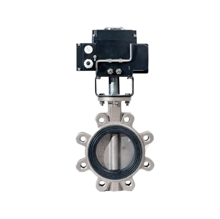 Electric lug against   clamp butterfly valve