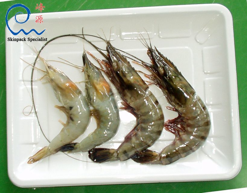 Seafood shellfish skin packaging film (seafood skin packaging) shrimp skin packaging example: