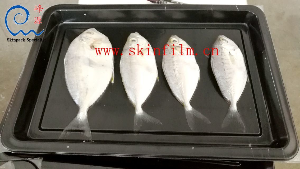PET skin pack (PET skin pack film) Case of fish body pack: