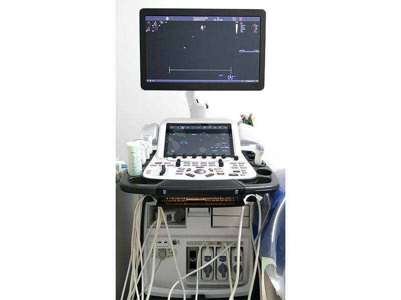 彩色多普勒超声诊断系统，GE Vivid-E95