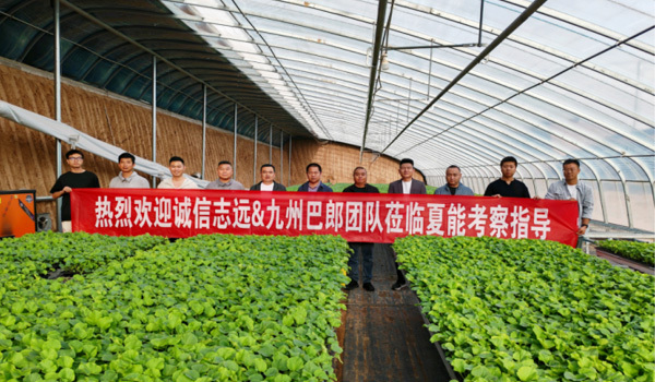 誠(chéng)信志遠(yuǎn)集團(tuán)與3000畝水果種植基地簽訂戰(zhàn)略合作協(xié)議
