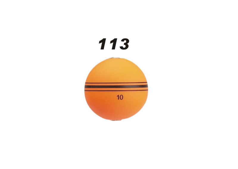 113 113