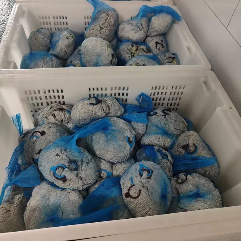 No Additives Natural Salted Sheep Casing 22/24mm 24/26mm