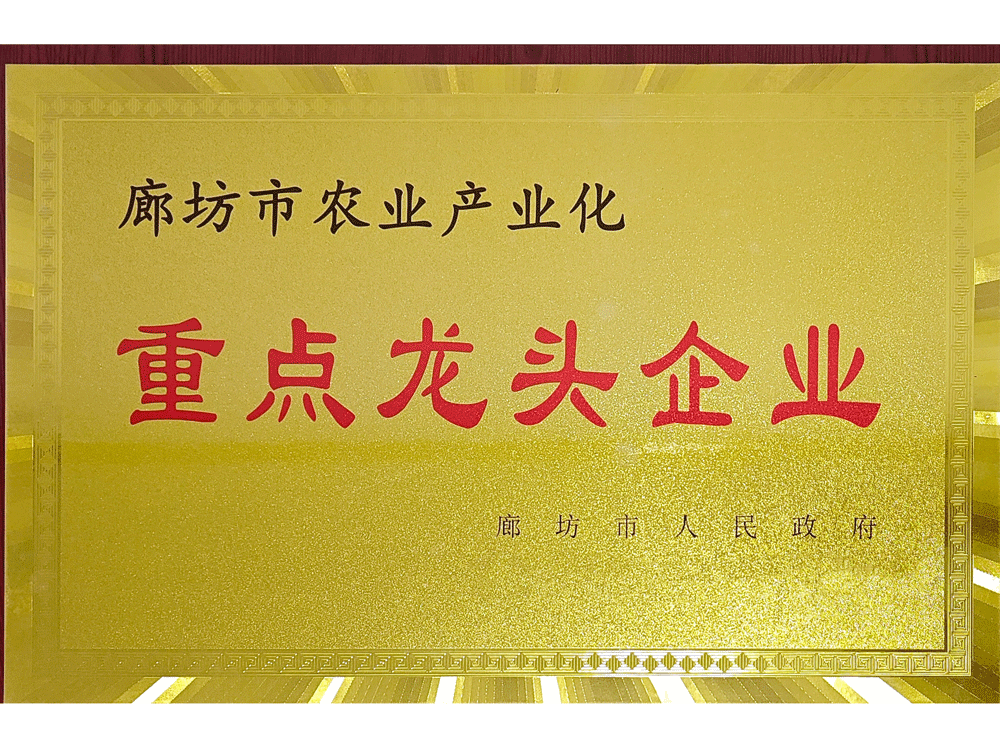 Key leading enterprises