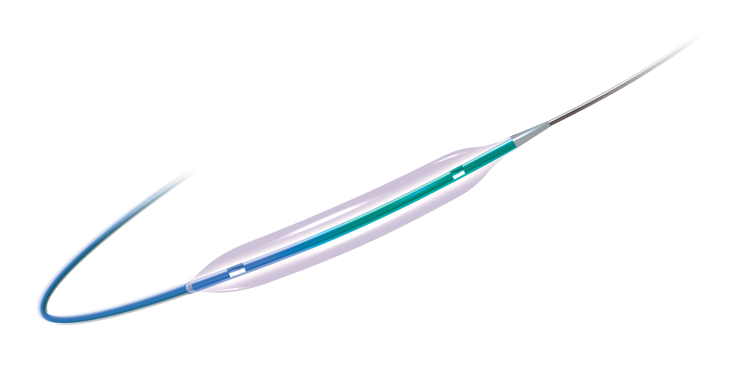 Balloon Catheter