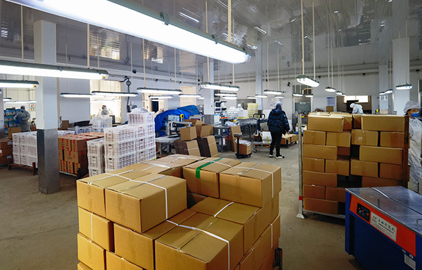 warehouse warehouse