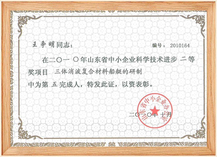 2010中小企业科技进步王争名