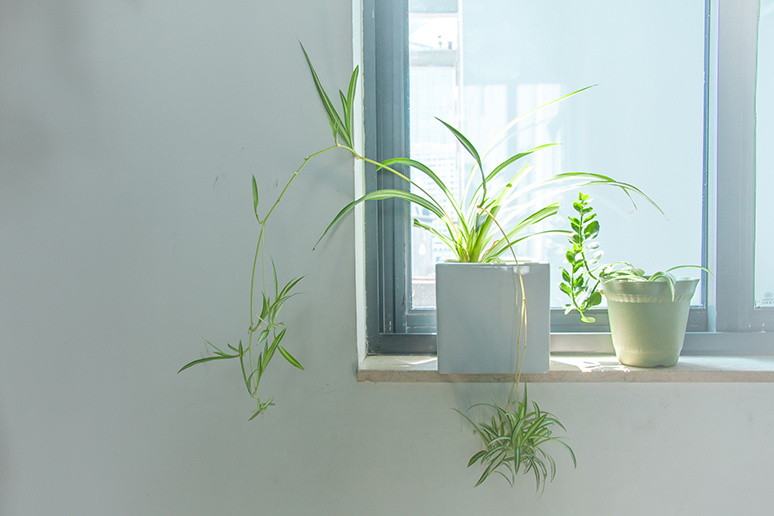Doors and windows have better wind pressure resistance and seismic performance