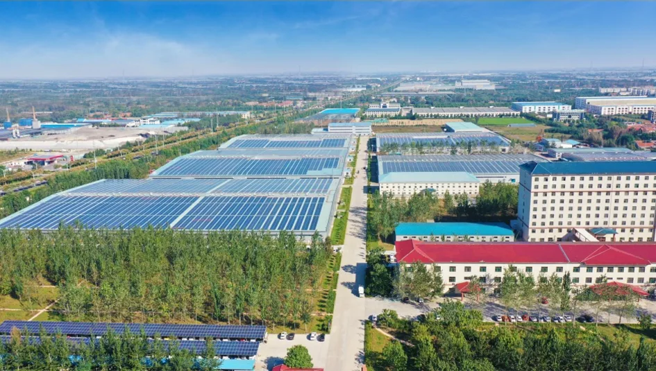 Yao Wang pharmaceutical