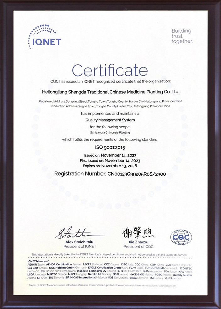 IQNET  ISO9001