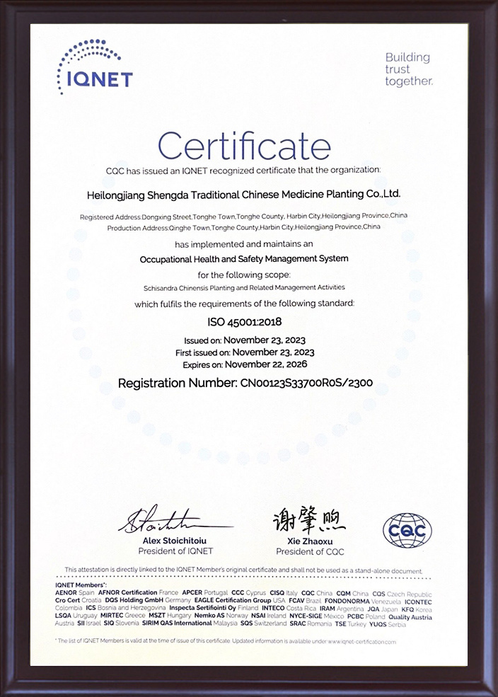 IQNET  ISO45001