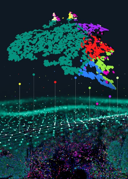 PhenoVision Bio