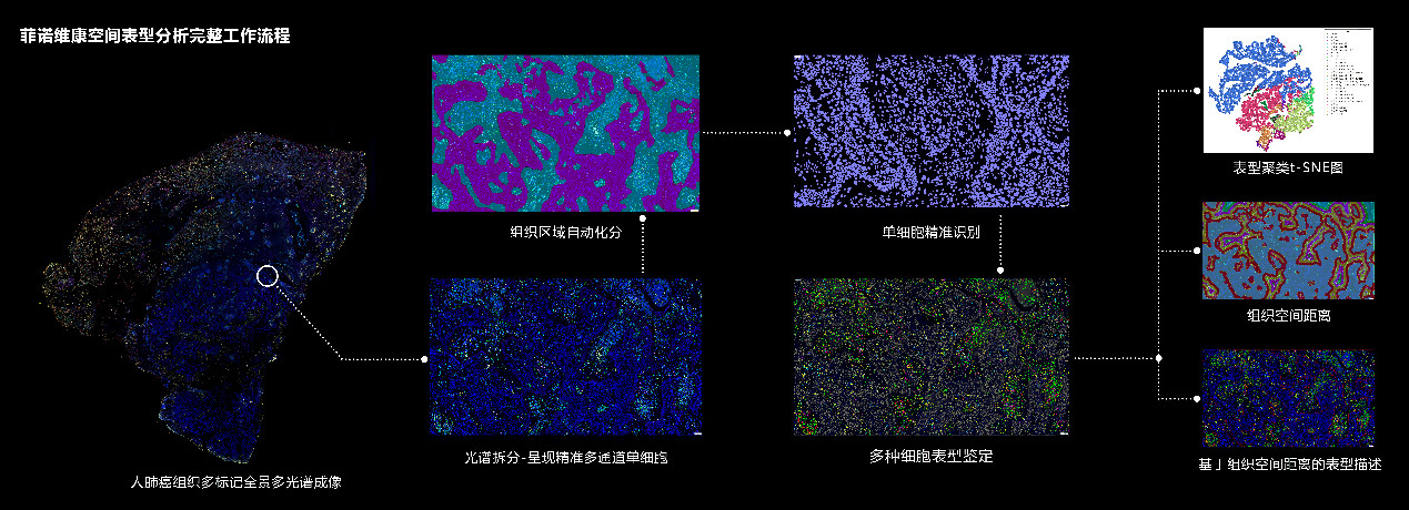 PhenoVision Bio