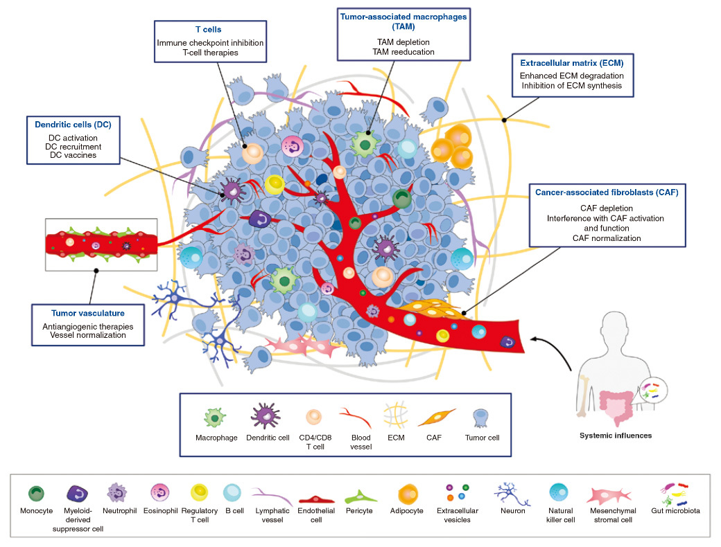 PhenoVision Bio