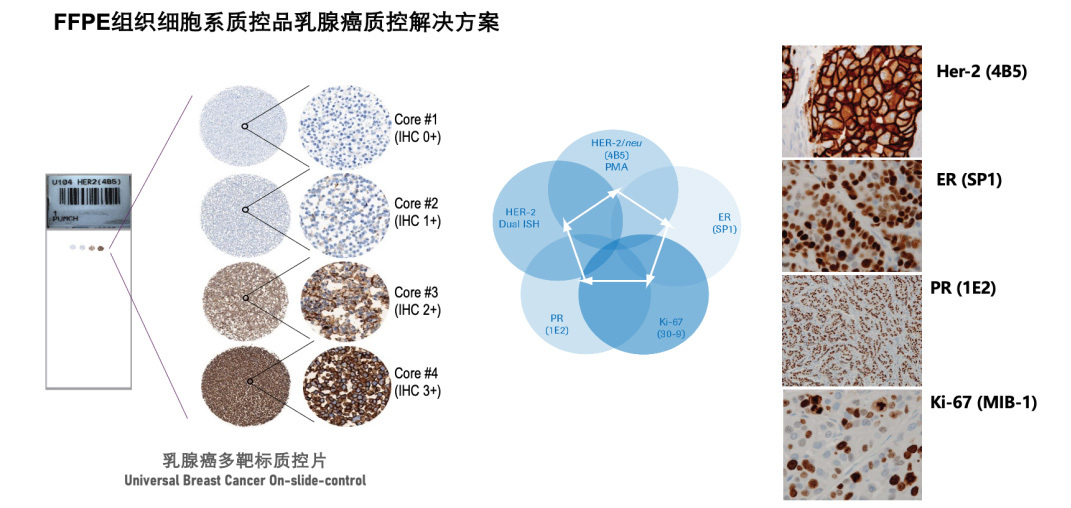 PhenoVision Bio