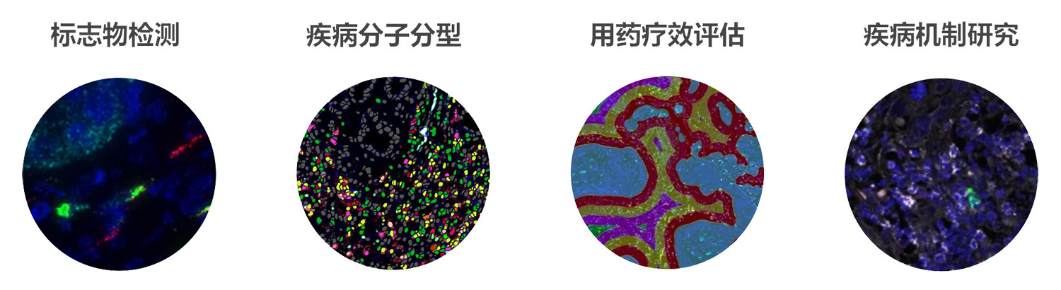 PhenoVision Bio