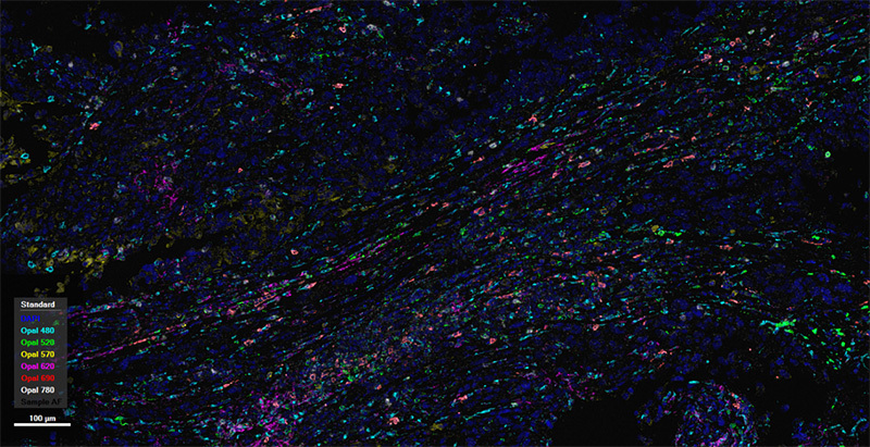 PhenoVision Bio