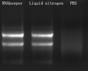 PhenoVision Bio