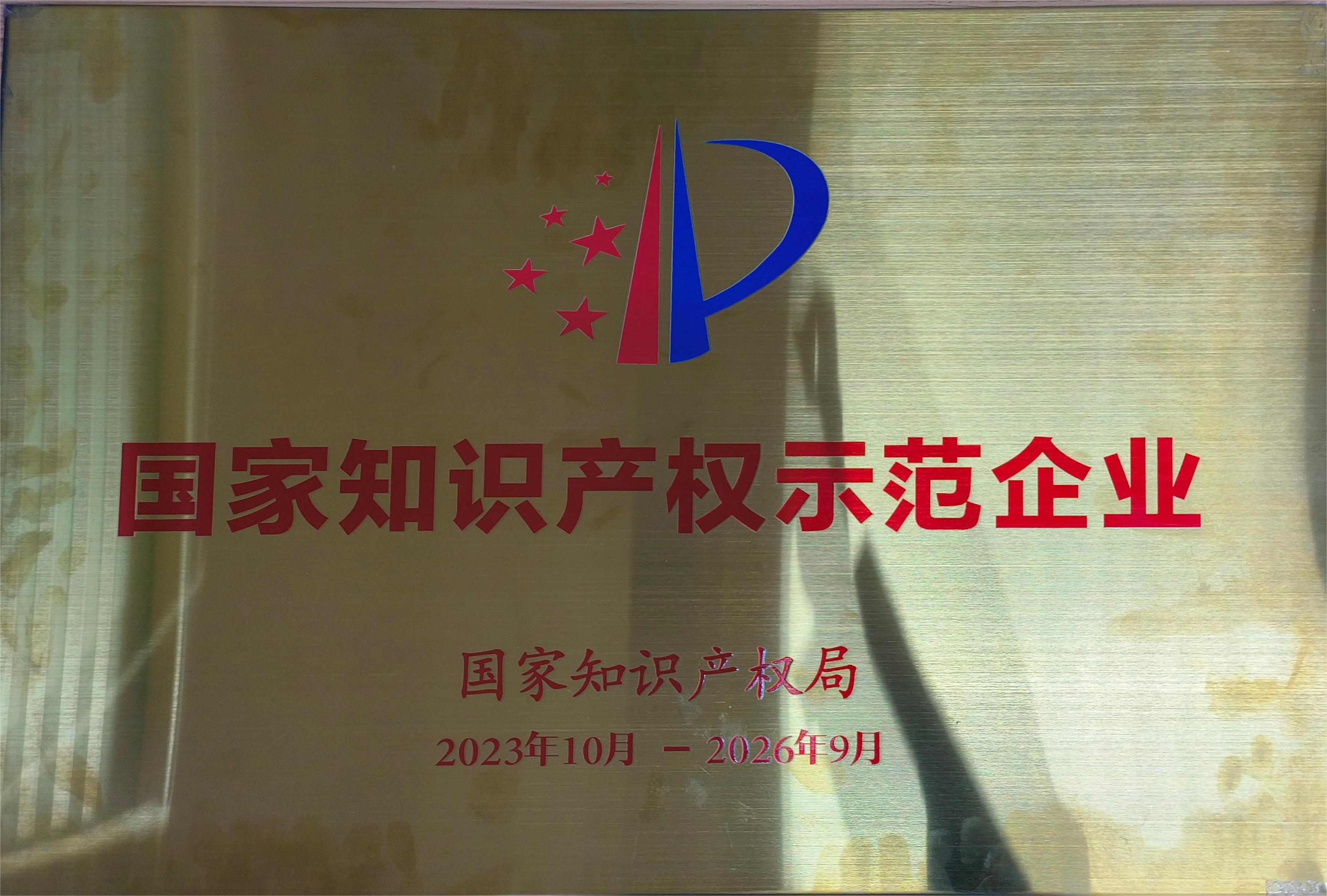国家知识产权示范企业
