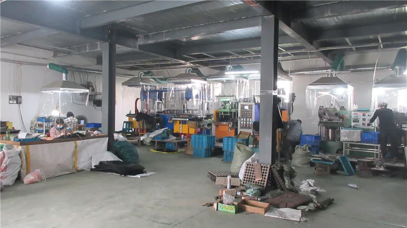 A Glimpse of the Plant