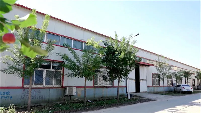 A Glimpse of the Plant