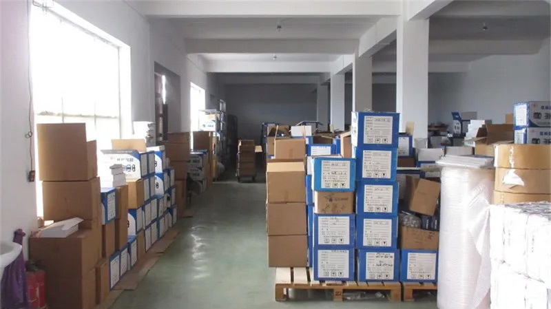 A Glimpse of the Plant