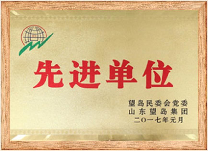 Qualification Certificate Qualification Certificate