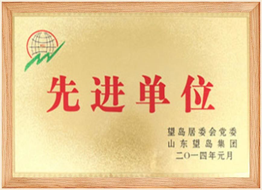 Qualification Certificate Qualification Certificate