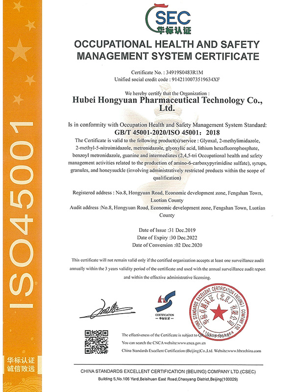 English Occupational Health and Safety Management System Certification (20201202-20221230)