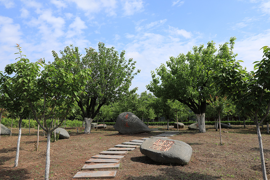 孝道園