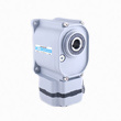 Dc Brushless Gear Motor