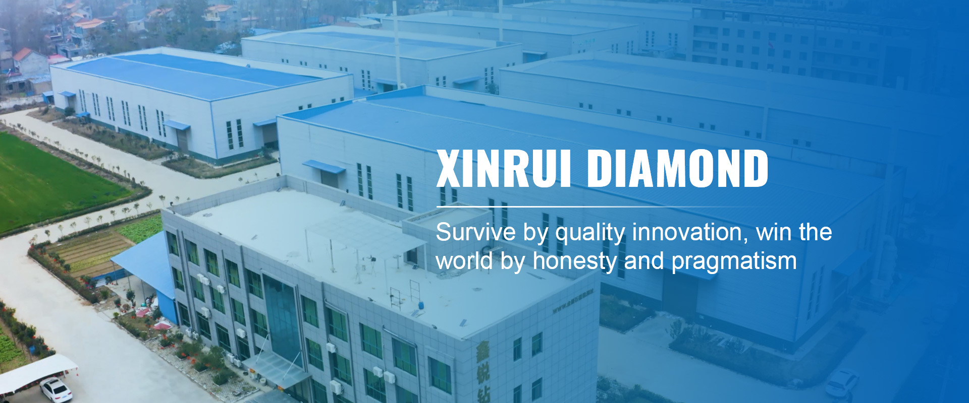 XinRui Diamond