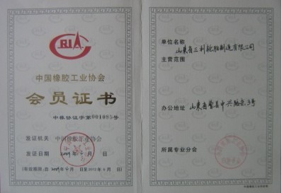 I became the China Rubber Industry Association