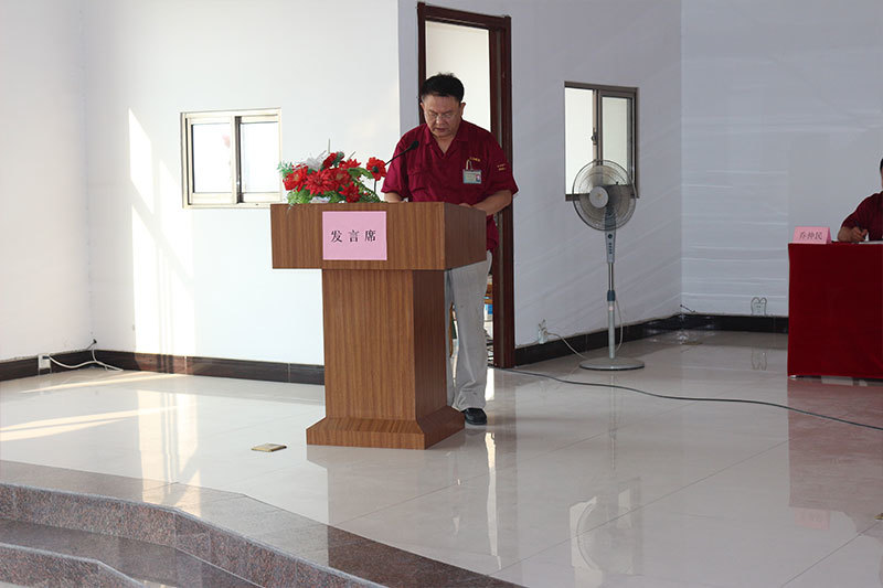 Sanli Tire Manufactured
