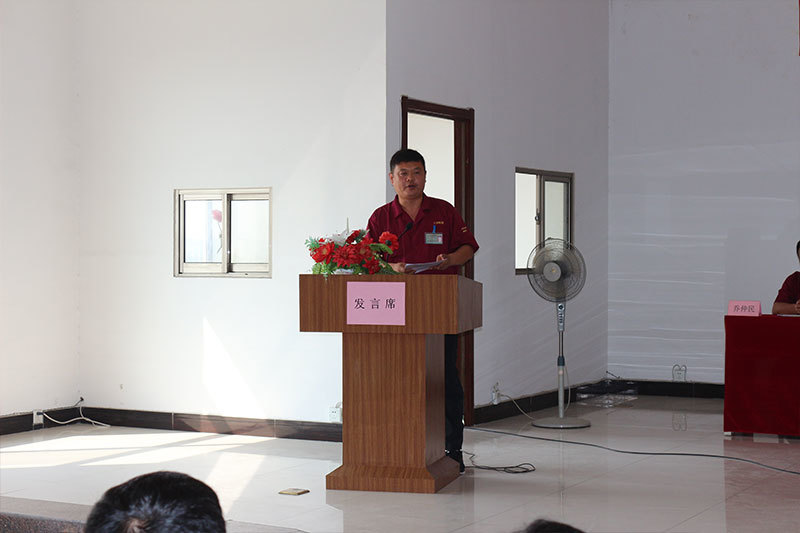 Sanli Tire Manufactured