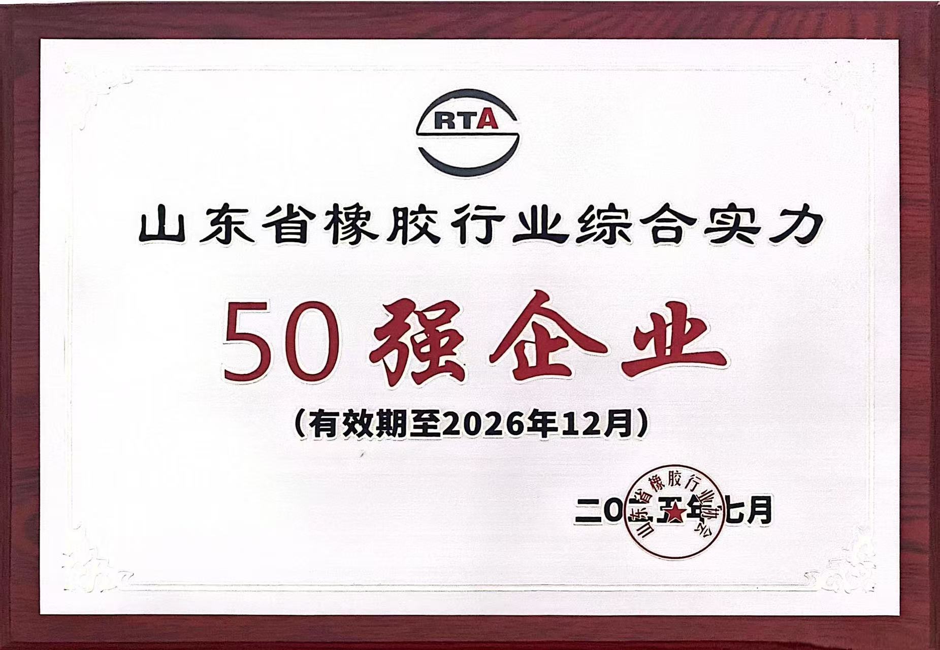 山东省橡胶行业综合实力50强