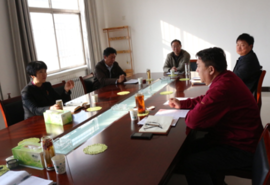 11月16日美国API公司CEO等一行人来我公司洽谈，安总全程陪同