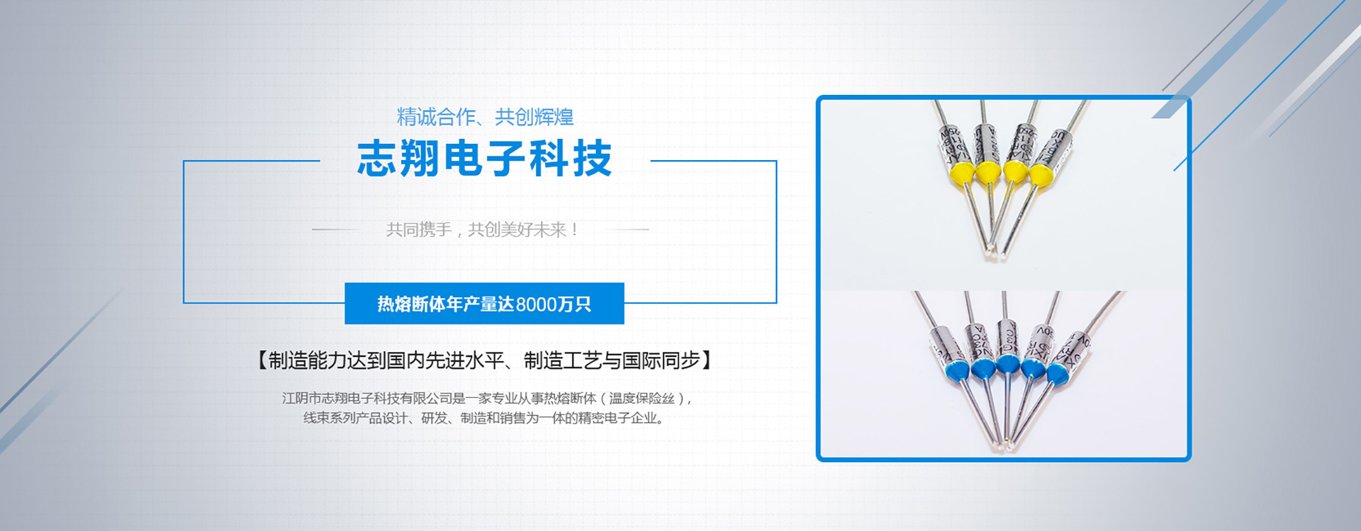 江陰市志翔電子科技有限公司